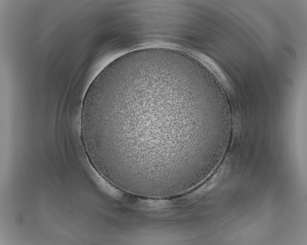 X0000110941244200906261254