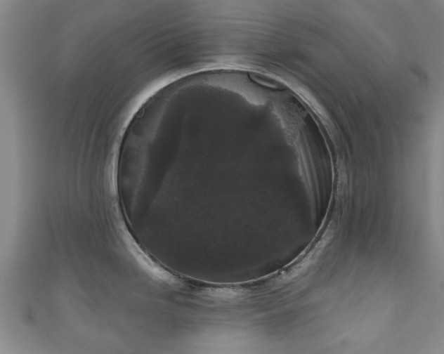 X0000110941246200906261254