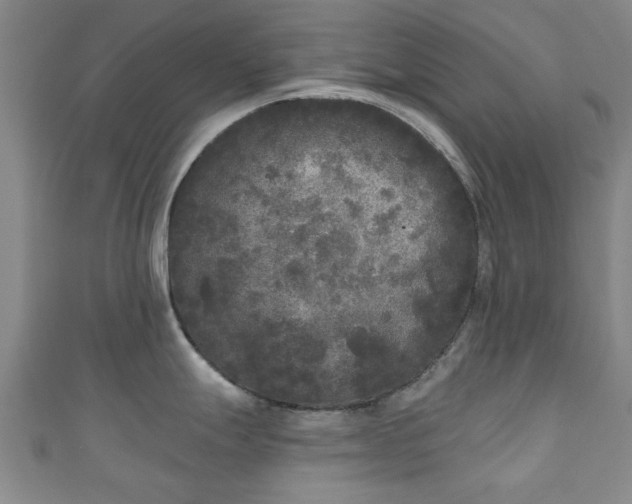 X0000110941247200906261254