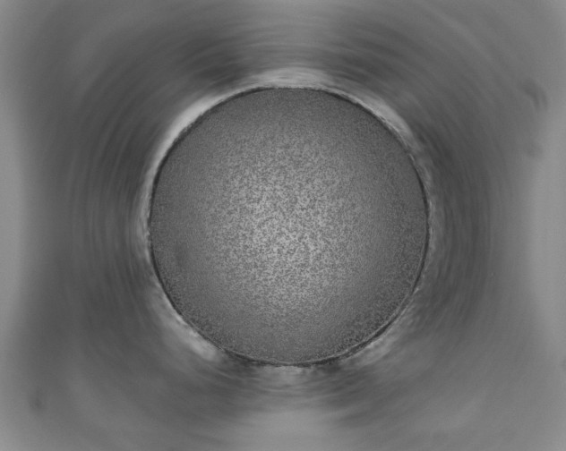 X0000110941248200906261254