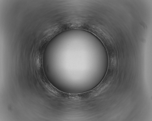 X0000110941250200906261253