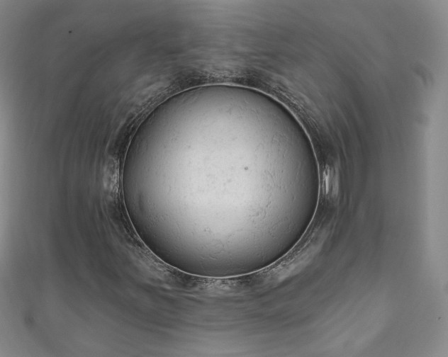 X0000110941251200906261253