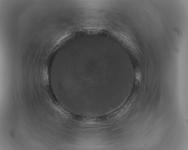 X0000110941252200906261253