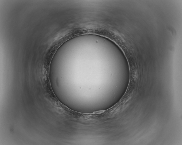 X0000110941253200906261253