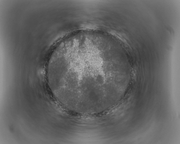 X0000110941254200906261253