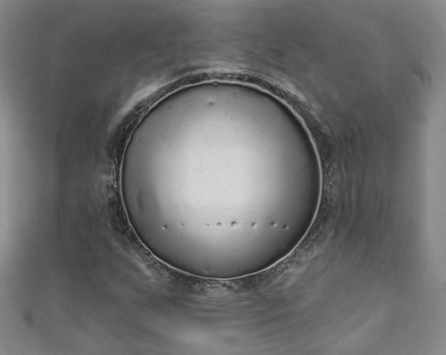 X0000110941255200906261253