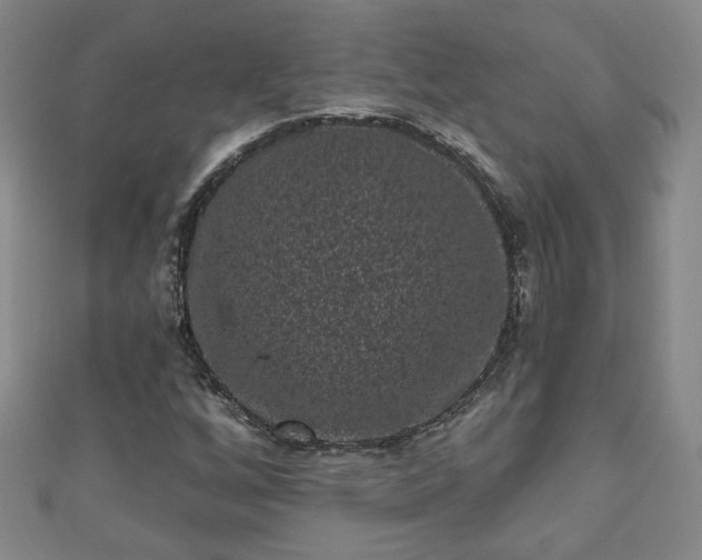 X0000110941256200906261253