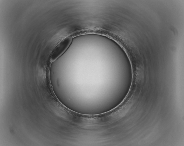 X0000110941257200906261253