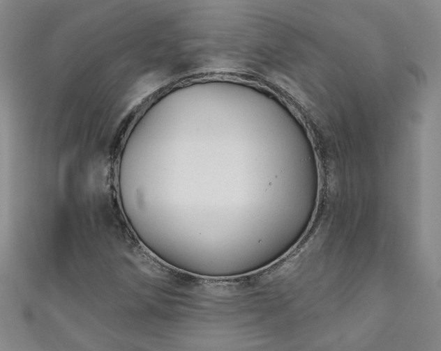 X0000110941258200906261253