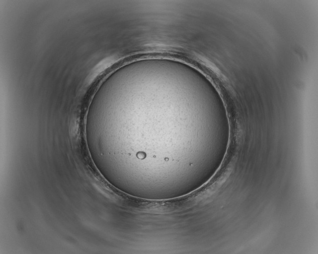 X0000110941259200906261253