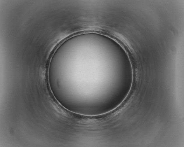 X0000110941260200906261253