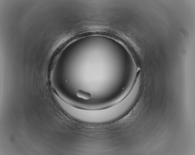 X0000110941261200906261253