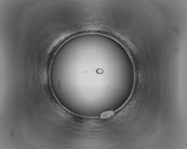 X0000110941262200906261253