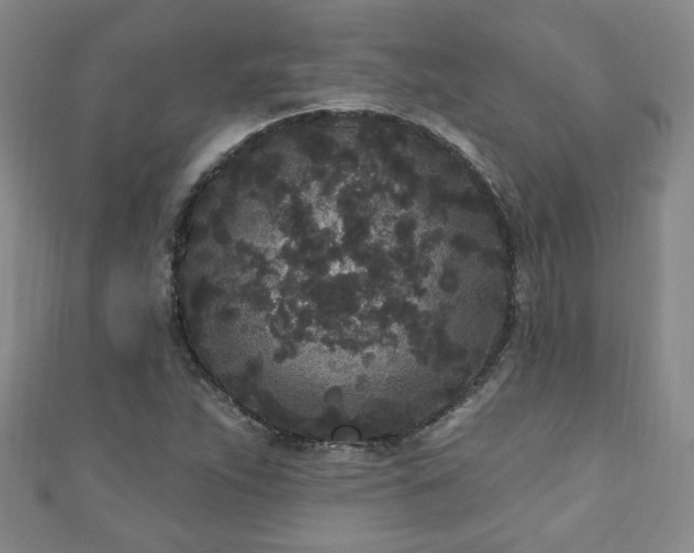 X0000110941263200906261253