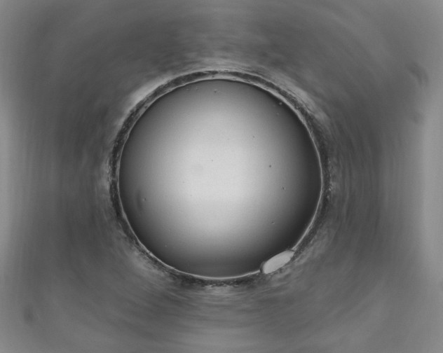 X0000110941264200906261253