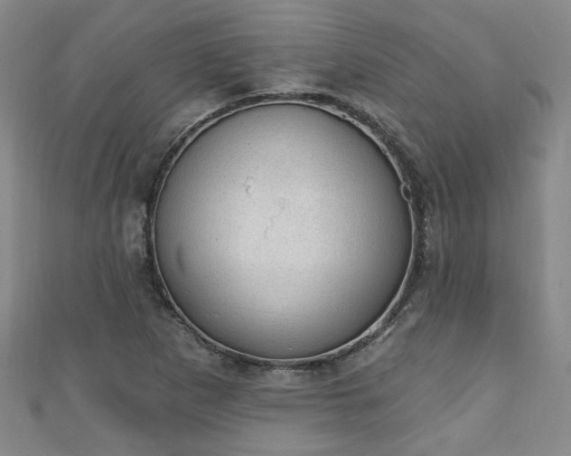 X0000110941265200906261253