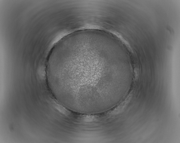 X0000110941266200906261253