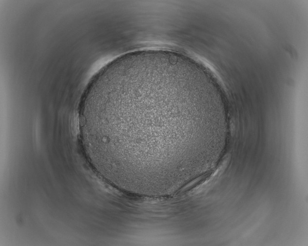 X0000110941267200906261253