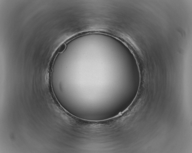 X0000110941268200906261253