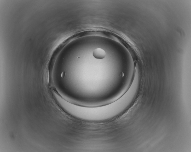 X0000110941269200906261253