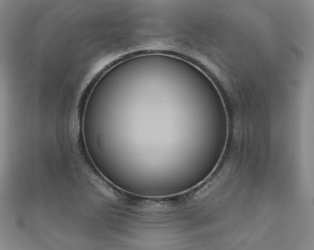 X0000110941270200906261253