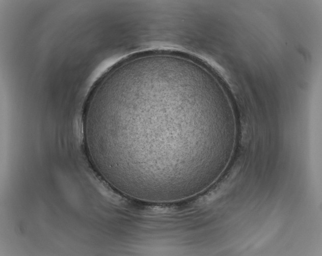 X0000110941271200906261253