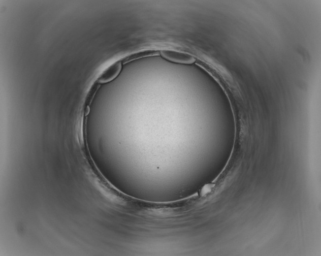 X0000110941272200906261253