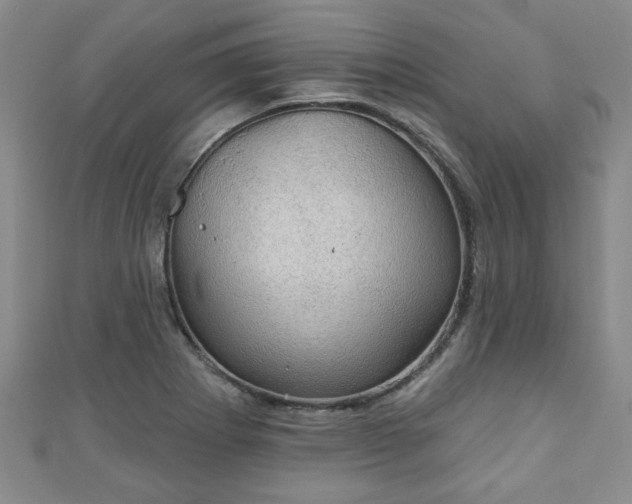 X0000110941273200906261253