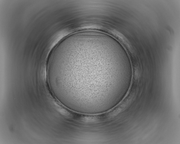 X0000110941274200906261253