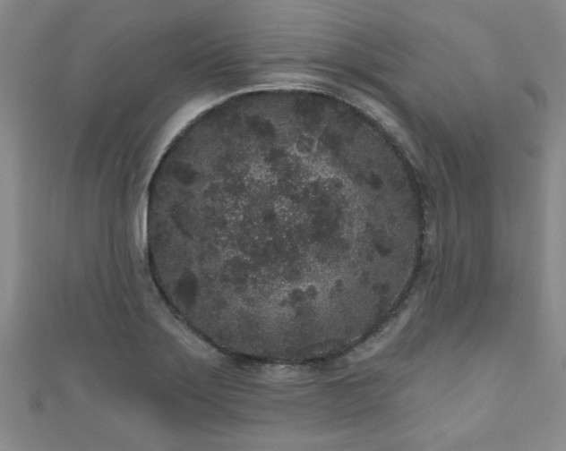 X0000110941275200906261253