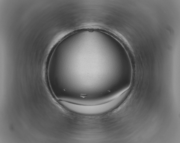 X0000110941277200906261253