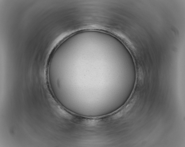 X0000110941278200906261253