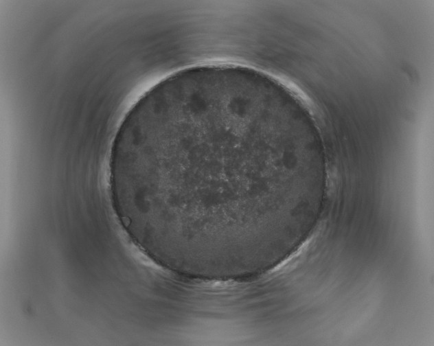 X0000110941279200906261253