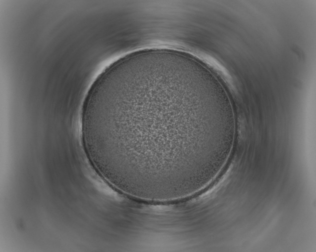 X0000110941280200906261253