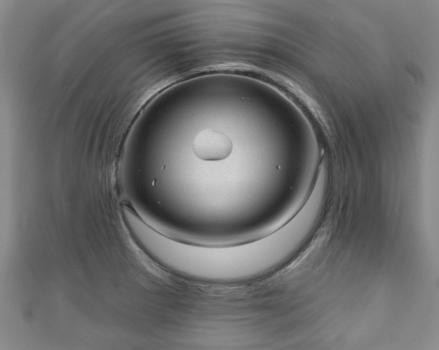 X0000110941281200906261253