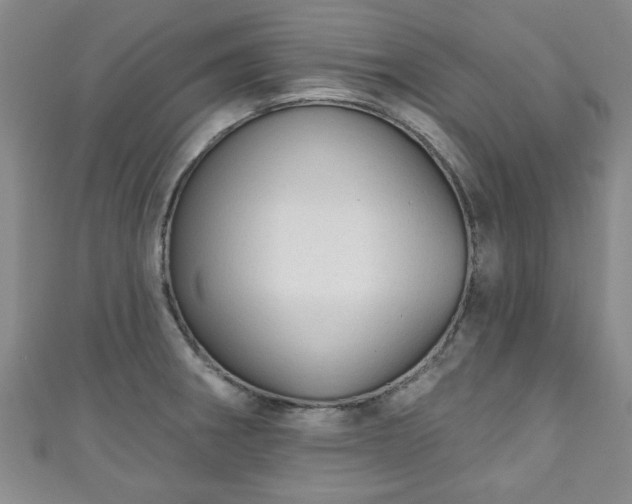 X0000110941282200906261253