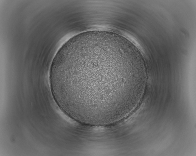 X0000110941283200906261253