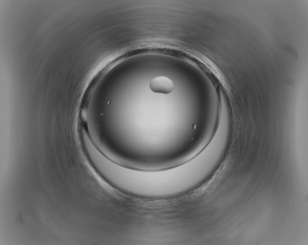 X0000110941285200906261253