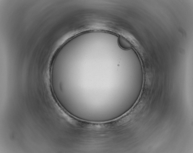 X0000110941286200906261253