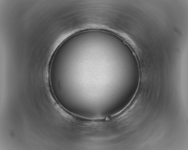 X0000110941287200906261253