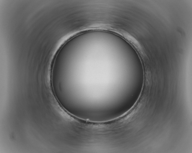 X0000110941288200906261253