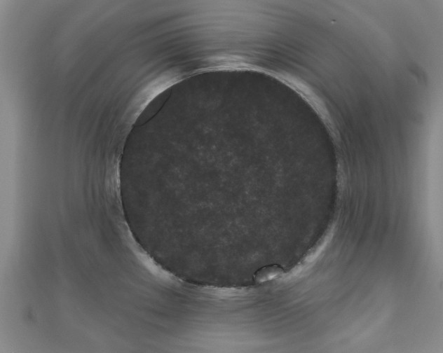 X0000110941289200906261253