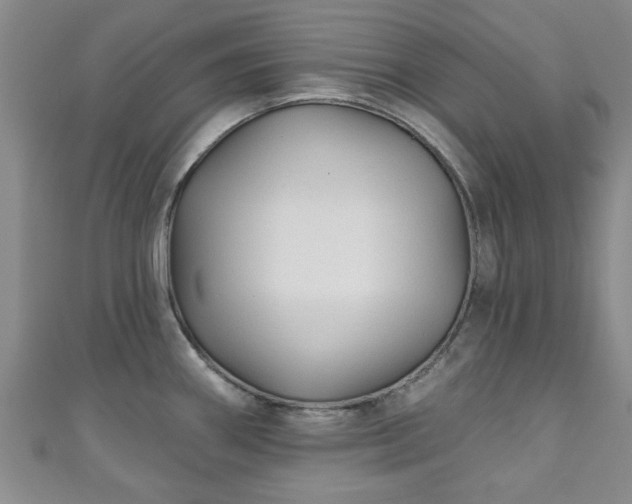 X0000110941290200906261253