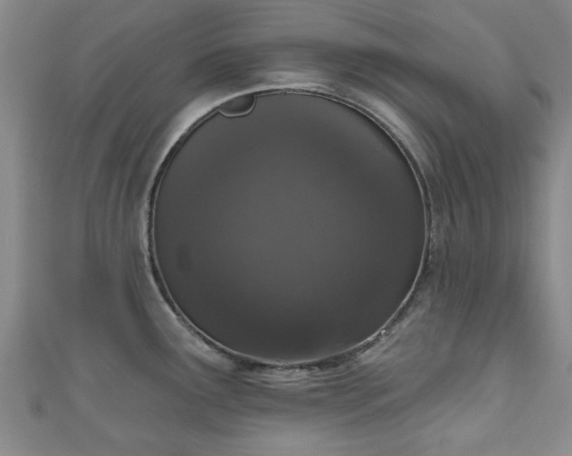 X0000110941291200906261253