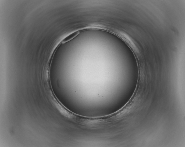 X0000110941292200906261253