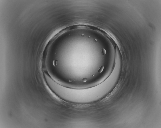 X0000110941293200906261253