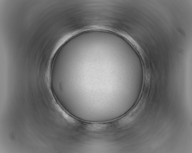 X0000110941294200906261253