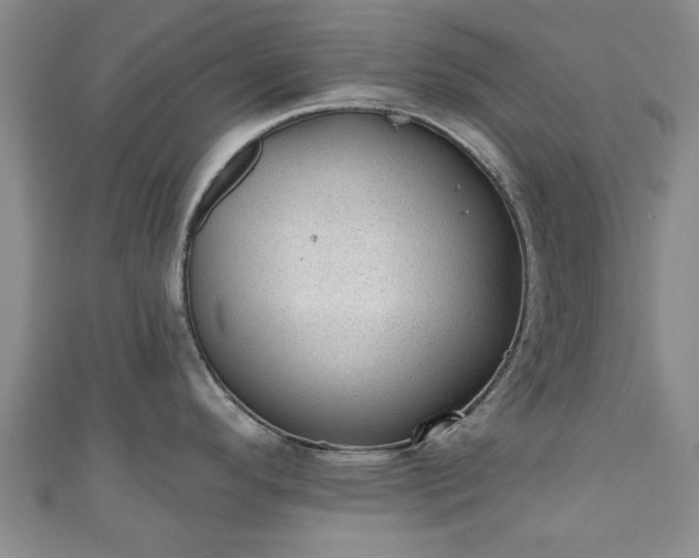 X0000110941296200906261253