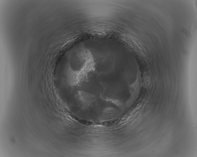 X0000110941297200906261252