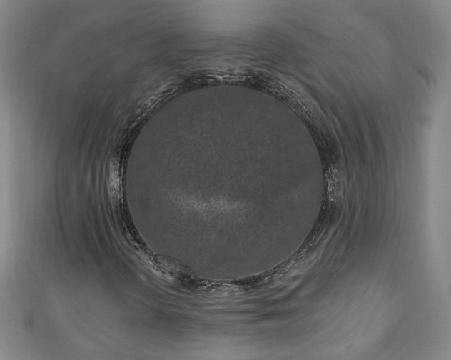 X0000110941298200906261252